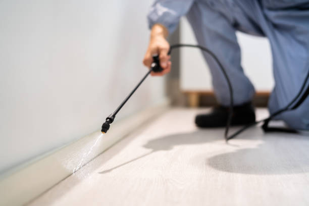 Licensed Wasp Control service in Goose Creek Village, VA - Nex Pest Control