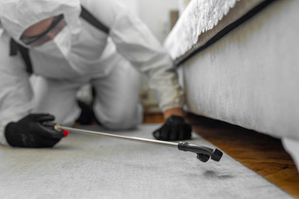 Professional Wasp Control technician working in Goose Creek Village, VA