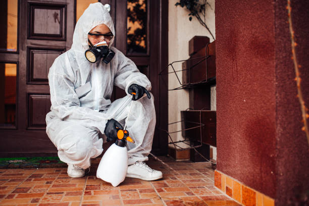 Reliable Ant Control contractor in Goose Creek Village, VA by Nex Pest Control