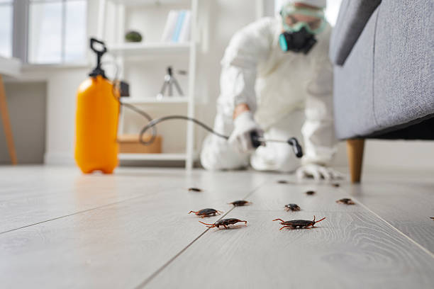 Trusted Mosquito Control service in Goose Creek Village, VA - Nex Pest Control