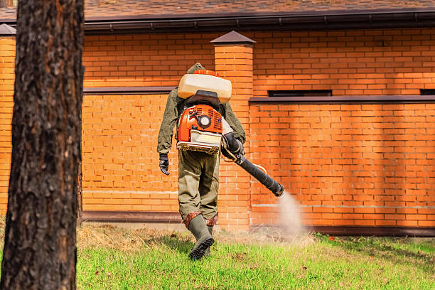 Trusted Cockroach Control service in Goose Creek Village, VA - Nex Pest Control